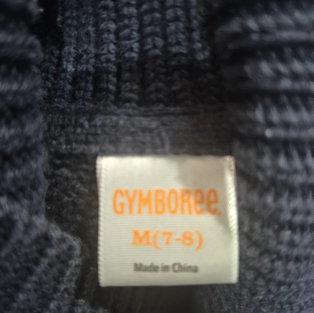 Gymboree Blue and White Crewneck Sweater